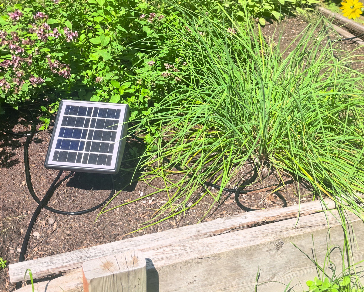 SolarSprout drip irrigation watering a garden